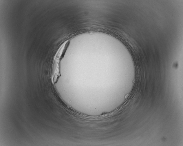 X0000116380043201001131817
