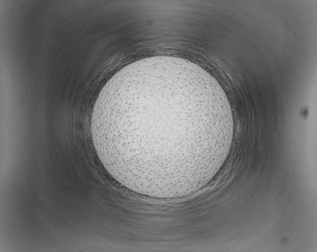 X0000116380044201001131817