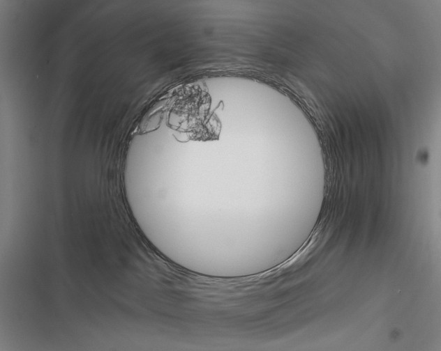 X0000116380045201001131817