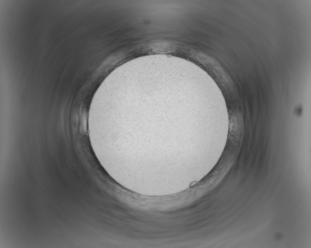 X0000116380046201001131817