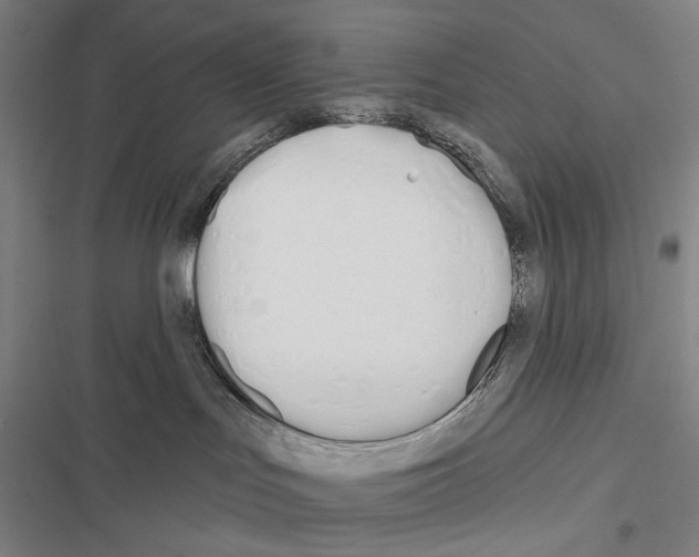 X0000116380047201001131817