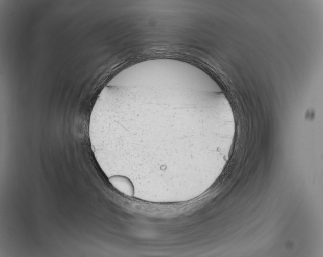X0000116380048201001131817
