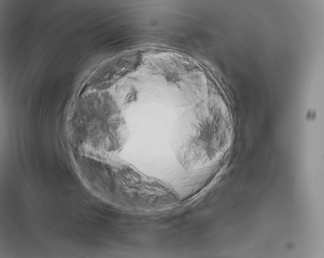 X0000116380049201001131817