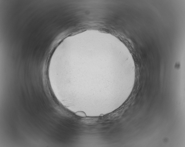 X0000116380051201001131817