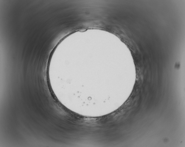 X0000116380052201001131817