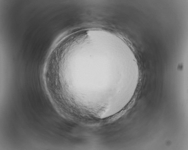 X0000116380053201001131817