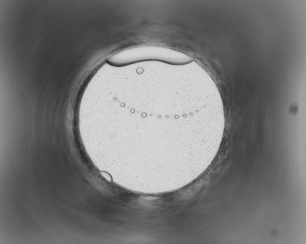 X0000116380055201001131817