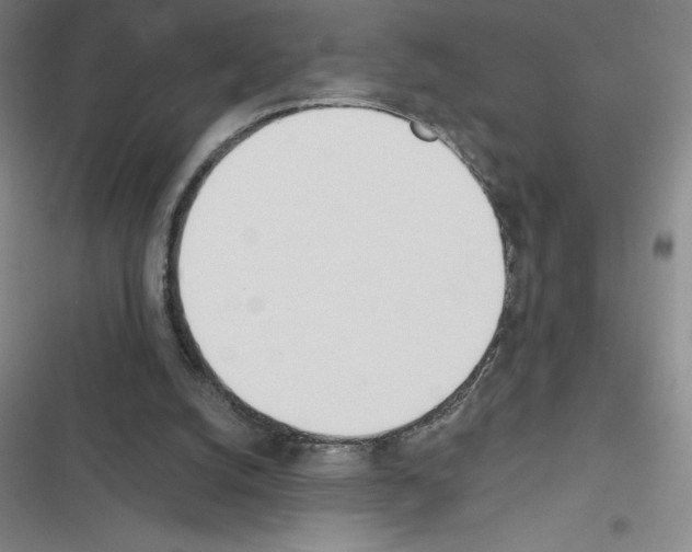 X0000116380056201001131817