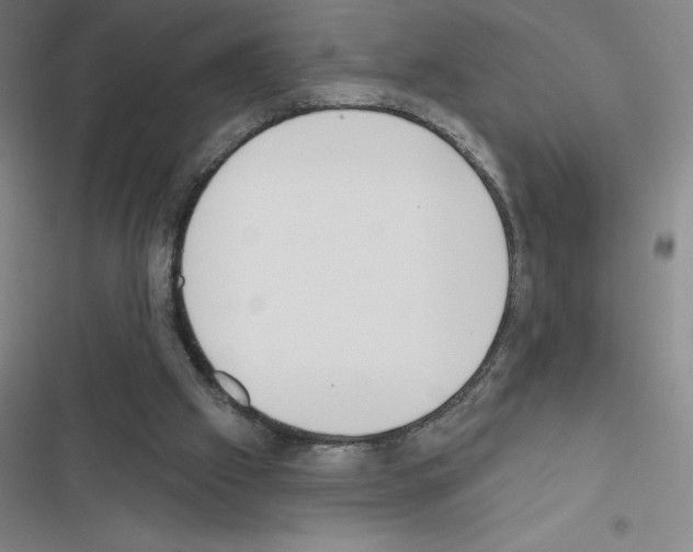 X0000116380057201001131817