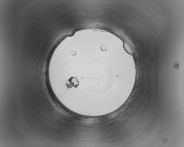 X0000116380058201001131817
