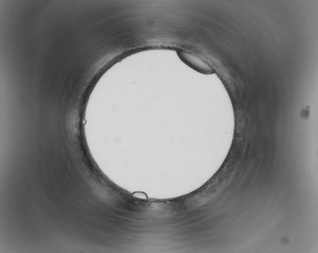 X0000116380060201001131817
