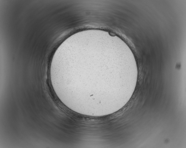 X0000116380062201001131817