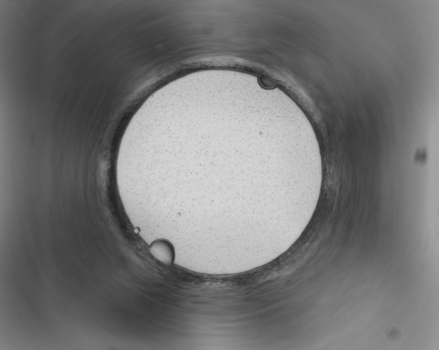 X0000116380063201001131817