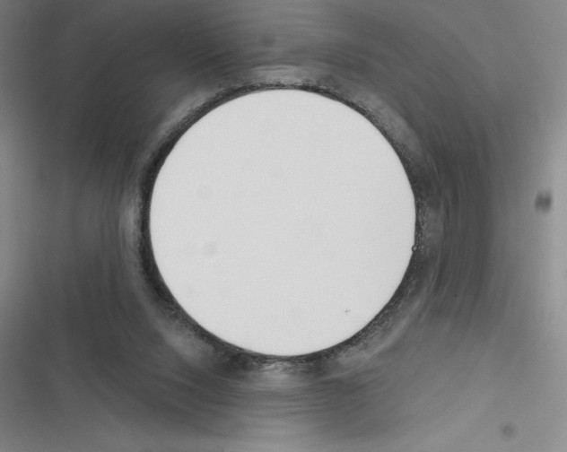 X0000116380064201001131817