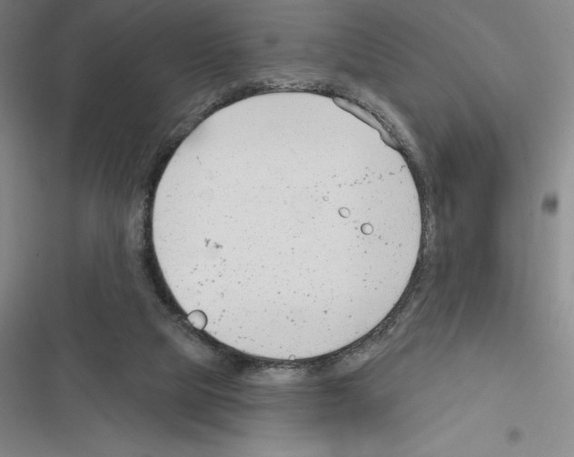 X0000116380065201001131817
