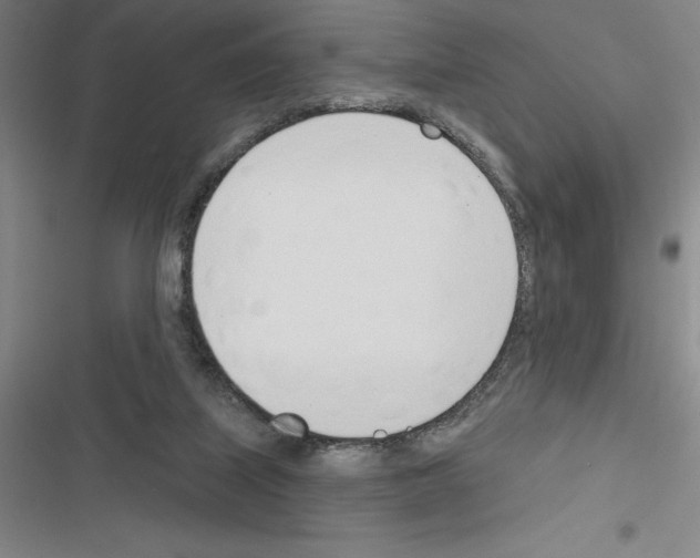 X0000116380067201001131817