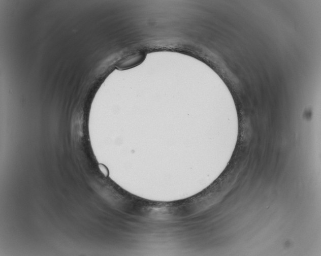 X0000116380068201001131817