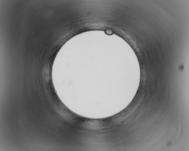 X0000116380069201001131817