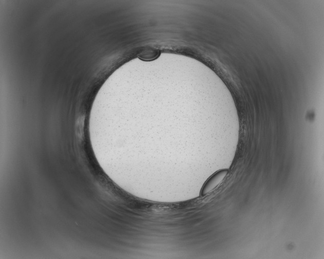 X0000116380070201001131817