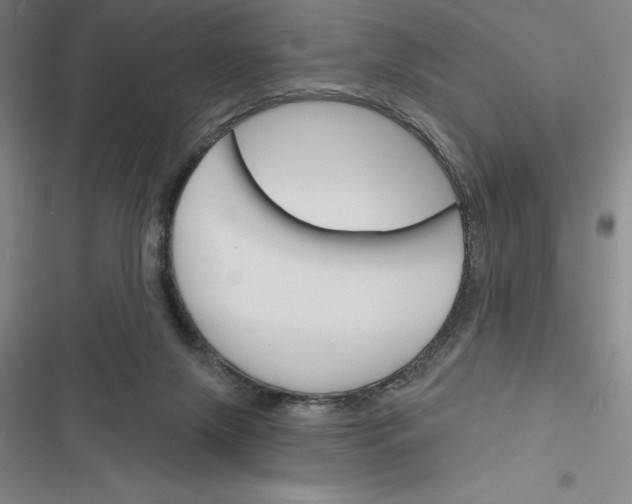 X0000116380071201001131817
