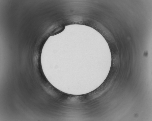 X0000116380072201001131817