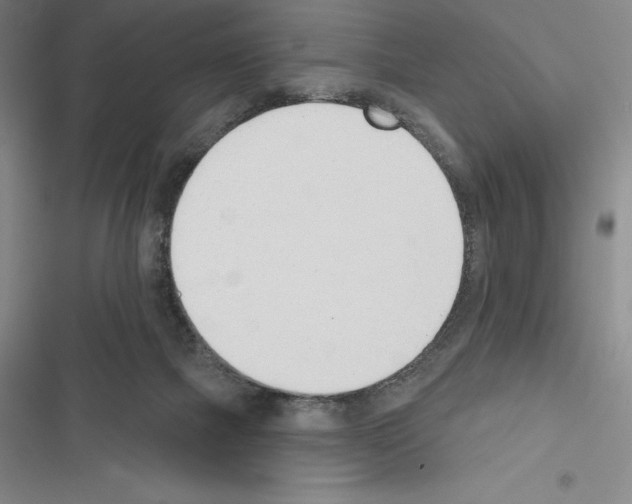 X0000116380073201001131817