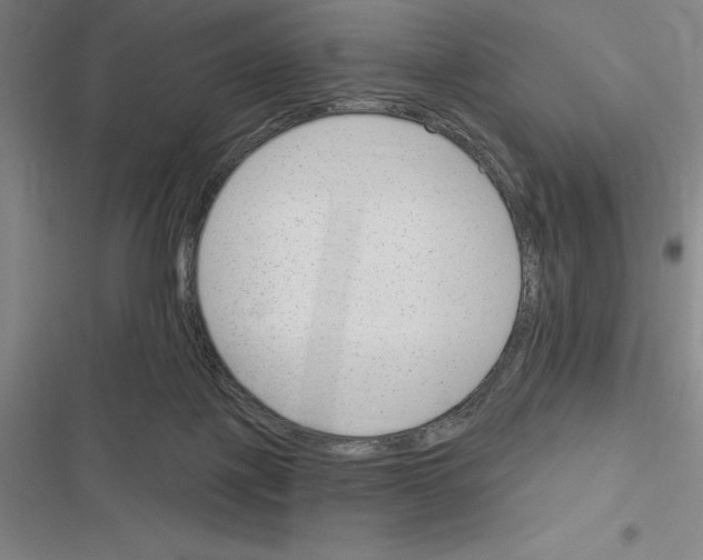 X0000116380075201001131817