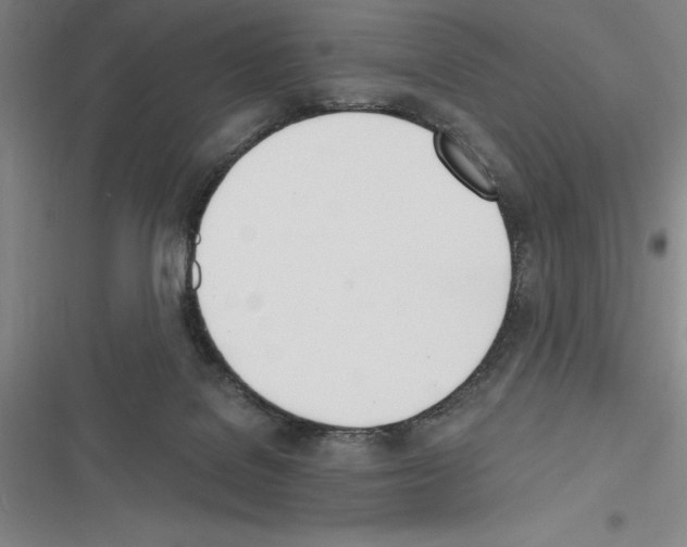 X0000116380076201001131817