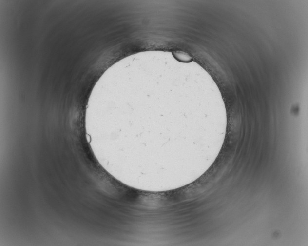 X0000116380079201001131817