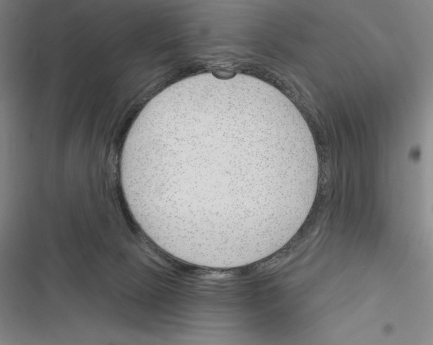 X0000116380081201001131817