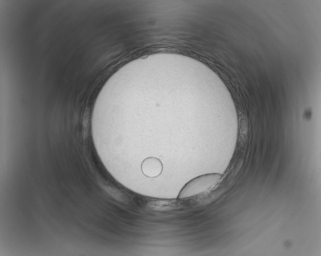 X0000116380082201001131817