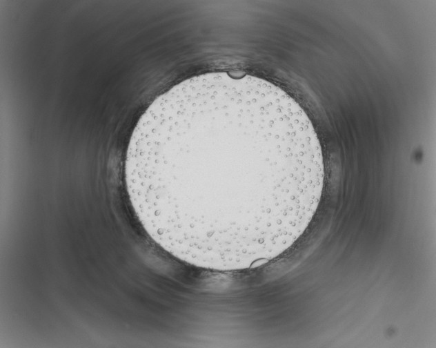X0000116380083201001131817