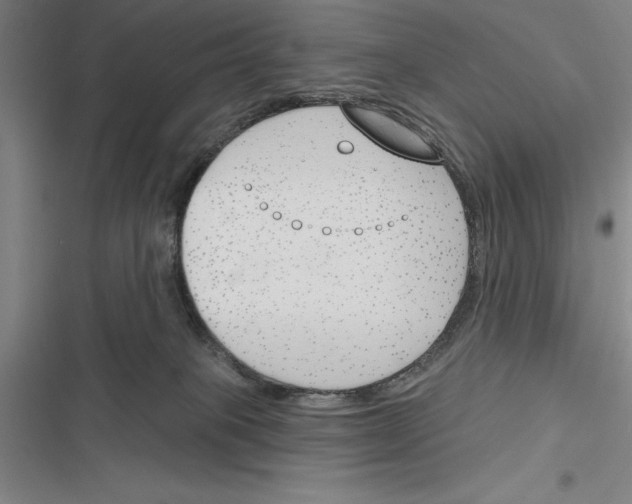 X0000116380085201001131817