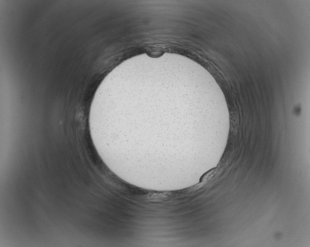X0000116380086201001131817