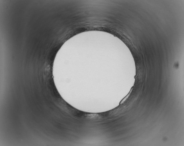 X0000116380087201001131817