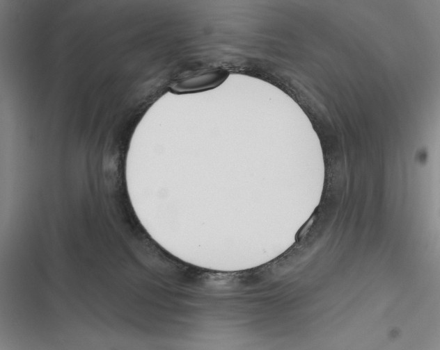 X0000116380088201001131817
