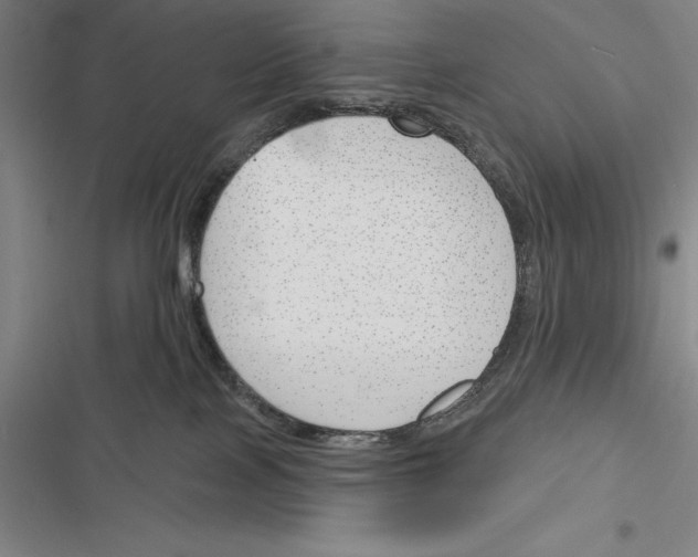 X0000116380089201001131817