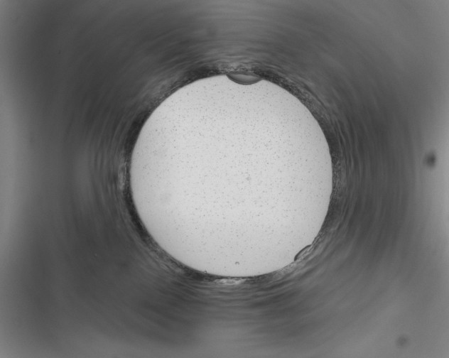X0000116380090201001131817
