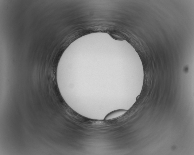 X0000116380091201001131817