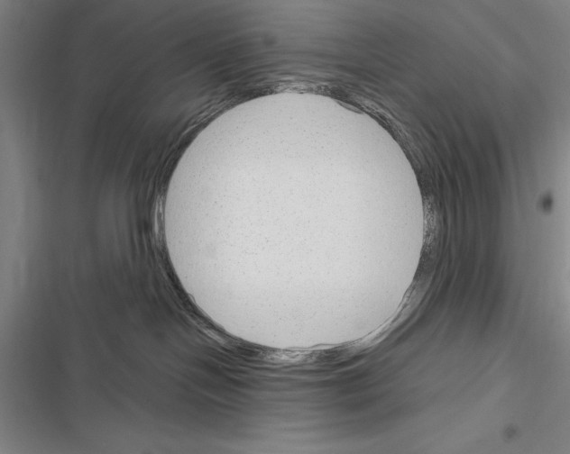 X0000116380094201001131817