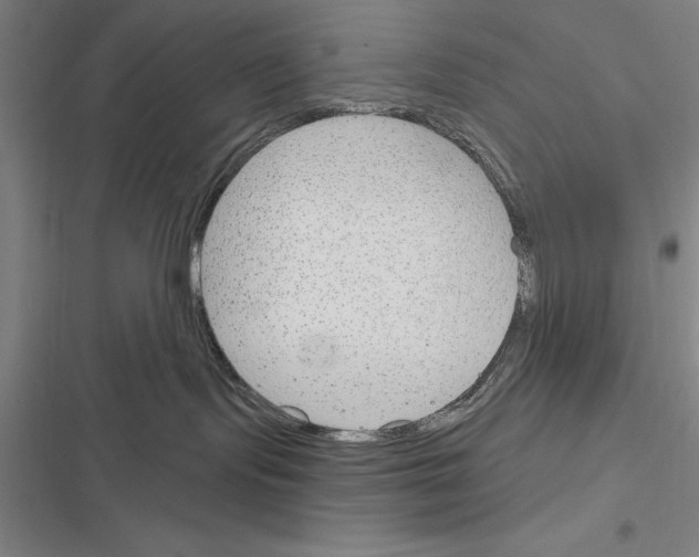 X0000116380095201001131817