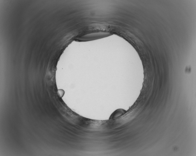 X0000116380096201001131817