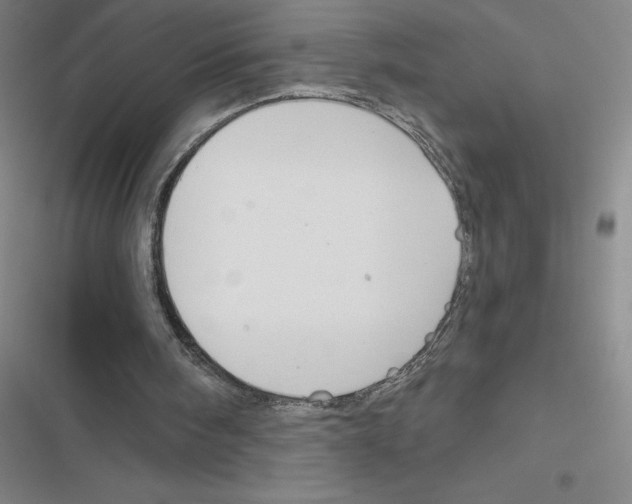 X0000116380098201001131817