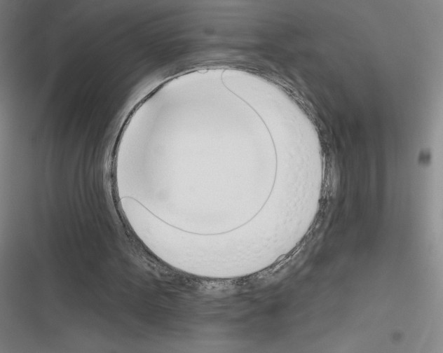 X0000116380099201001131817