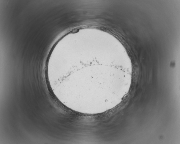 X0000116380100201001131817