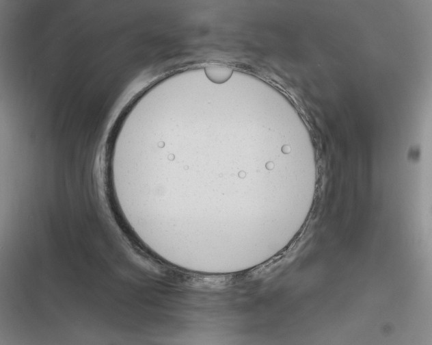 X0000116380102201001131817