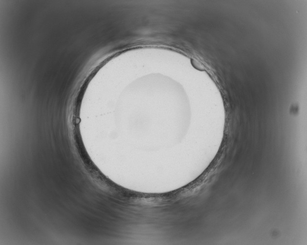 X0000116380103201001131817