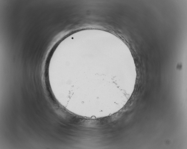 X0000116380104201001131817