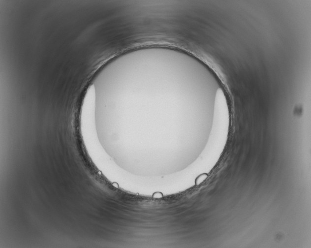 X0000116380105201001131817