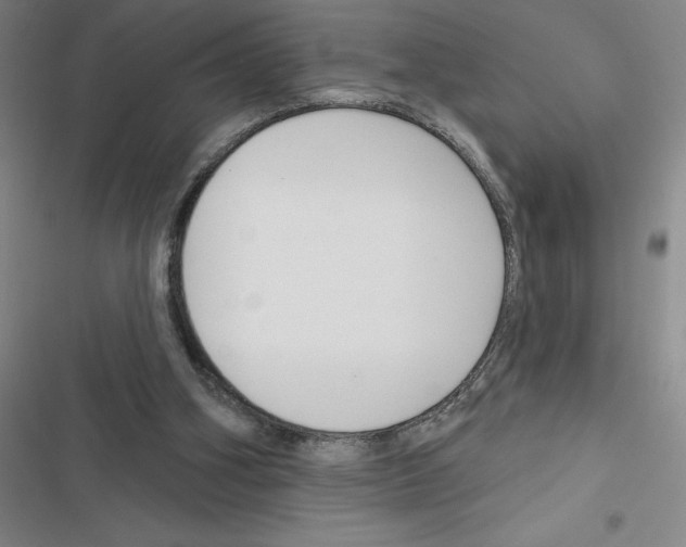 X0000116380106201001131817
